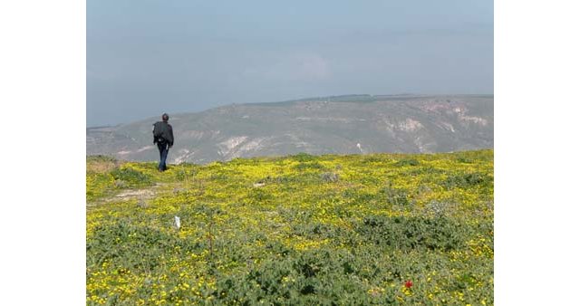 Vue sur le plateau du Golan (Israël)