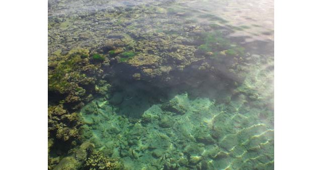 La Mer Rouge, à Aqaba