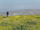 Vue sur le plateau du Golan (Israël)
