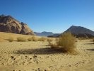 Le désert du Wadi Rum