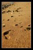 pas dans le sable