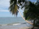 Cahuita_Cote caraibe