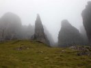 Des créatures fantomatiques perdues dans la brume