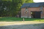 WE Guillemont Small 0003